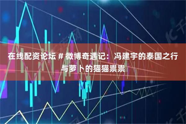 在线配资论坛 # 微博奇遇记：冯建宇的泰国之行与萝卜的猫猫祟祟