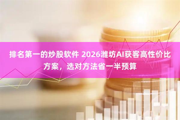 排名第一的炒股软件 2026潍坊AI获客高性价比方案，选对方法省一半预算